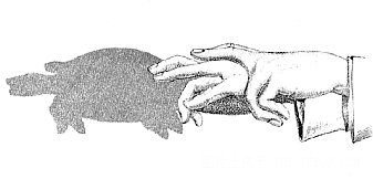 幼儿经典的手影：小乌龟